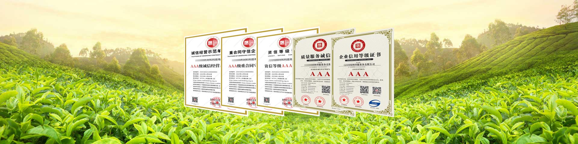 广西3A信用等级